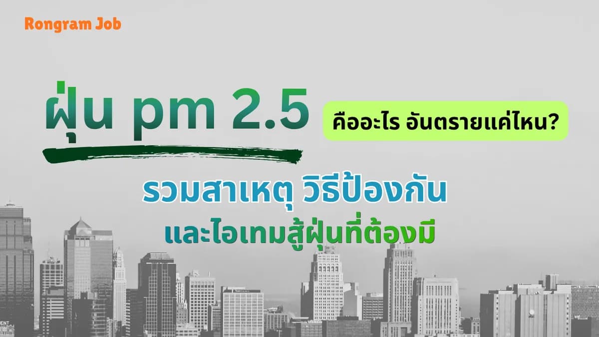 pm 2.5 คืออะไร? อันตรายแค่ไหน รวมสาเหตุ วิธีป้องกัน และไอเทมสู้ฝุ่นที่ต้องมี