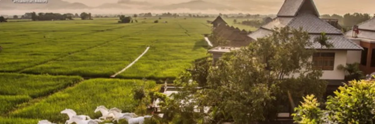 Reception พนักงานต้อนรับ